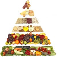 La Alimentación