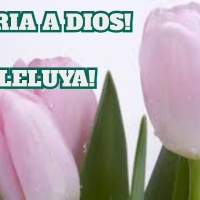 Reina Ayala Carrasco