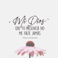 Wilfredo Javier Lazo